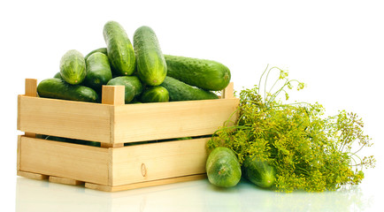 fresh cucumbers in wooden box and dill  isolated on white