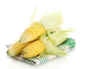 fresh corn, isolated on white
