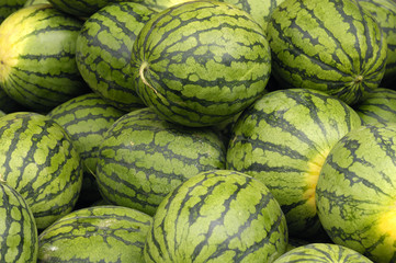 Fototapeta na wymiar Ripe big water-melons with a green striped skin