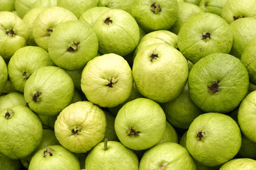 Guava background