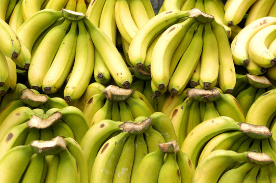Bananas in the market