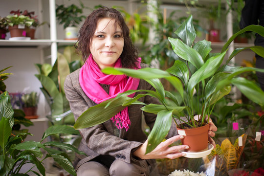 Woman Chooses Aspidistra