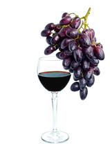 Red wine and bunch grape