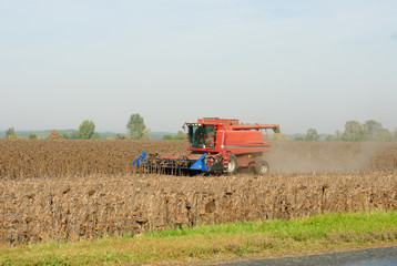 Obraz premium Harvesting of sunflower seeds with combine