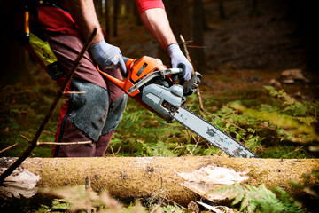 Obraz premium Waldarbeiterin schneidet liegendes Holz - Entasten