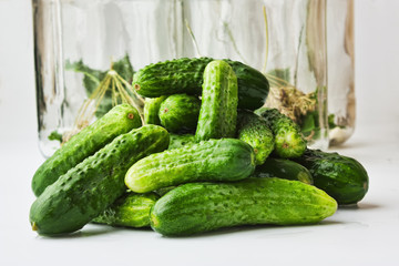 harvesting and canning cucumbers