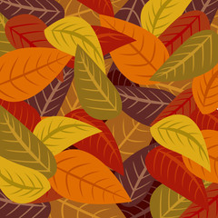Autumn leaves vector illustration