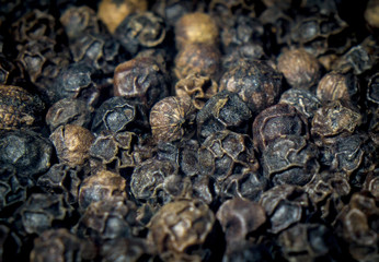 Black pepper