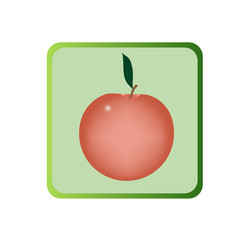 green icon of apple