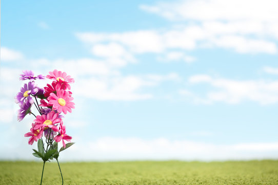 A buquet of wild flowers with blue skt in the background