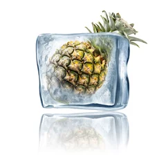Schilderijen op glas ananas in ijsblokjes © somchaij