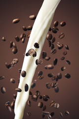 Coffee beans dropping with milk