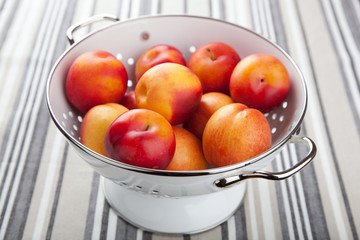 fresh nectarines and plums