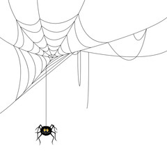 Vector Illustration of a Spider and a Web - 45338938