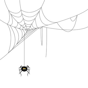Vector Illustration of a Spider and a Web