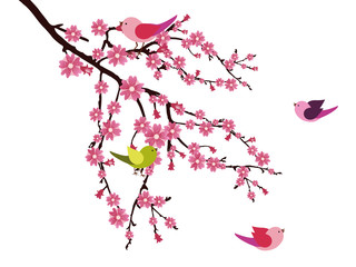 Bl&uuml;hender Zweig