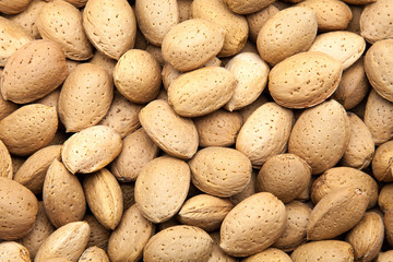 almendras recién cosechadas