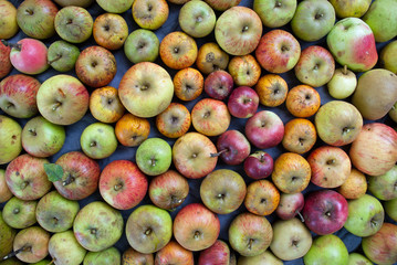 Mostäpfel