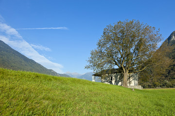 mountain landscape with tree and small church