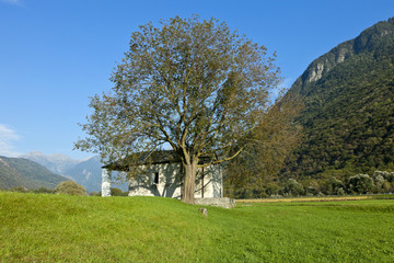 Fototapeta na wymiar mountain landscape with tree and small church