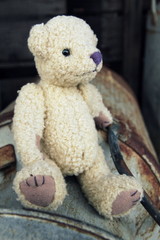 Teddybär und Milchkanne
