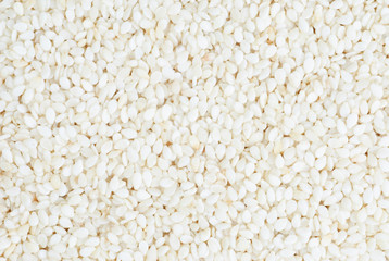 sesame background, macro