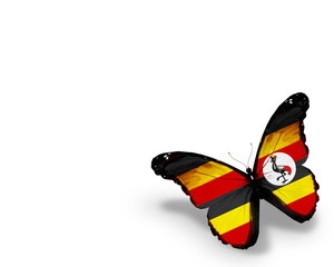 Uganda flag butterfly, isolated on white background