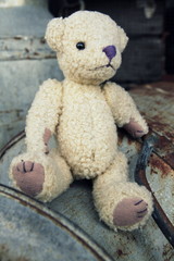 Teddybär und Milchkanne