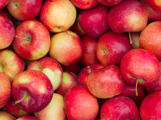 Fototapeta na wymiar Red ripe apples