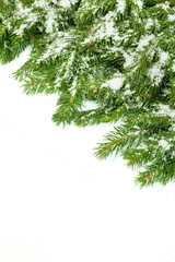 Christmas background. Eve framework