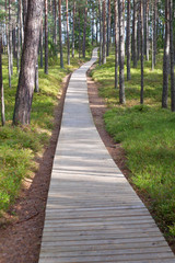 Path.