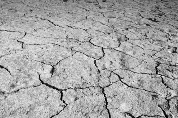 Dry cracked earth