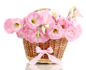 bouquet of eustoma flowers in basket, isolated on white