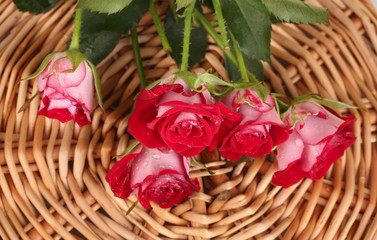 Fototapeta na wymiar Beautiful vinous roses on wicker mat close-up