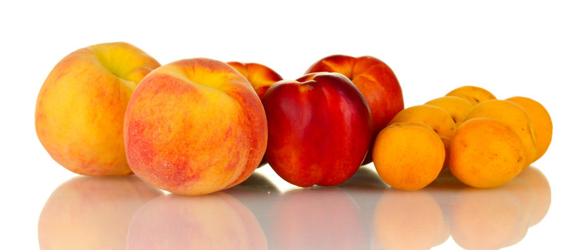 Ripe nectarines, apricots and peaches isolated on white