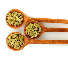 green cardamom in wooden spoons on white background close-up