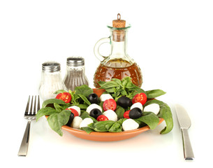 cheese mozzarella with vegetables in the plate with fork and