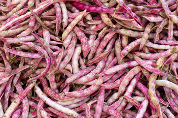 Pink kidney beans