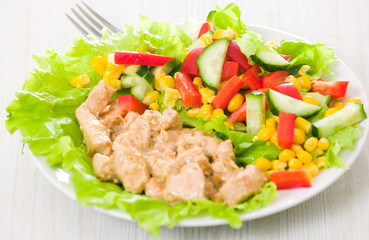 chicken breast with cheese sauce and fresh vegetable salad