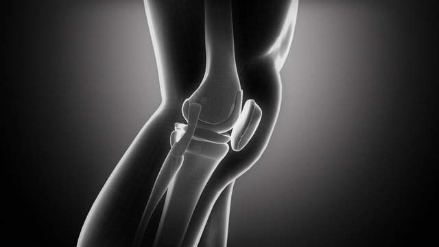 Knee anatomy in loop x-ray