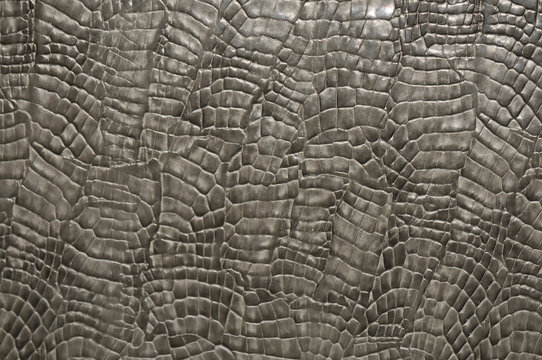 Textura de piel rugosa gris