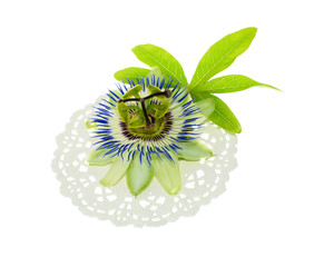 passionflower on a napkin