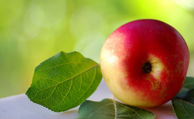 Closeup of red apple