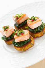appetizer with salmon