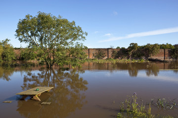 Obraz premium flooded garden with picnic bench
