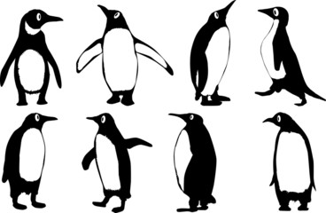 Fototapeta premium Cartoon Penguins