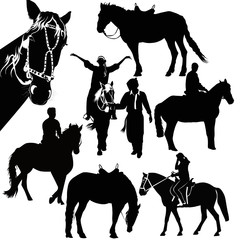 horses animals equestrian sport isolated
