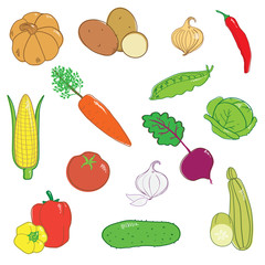 vegetable