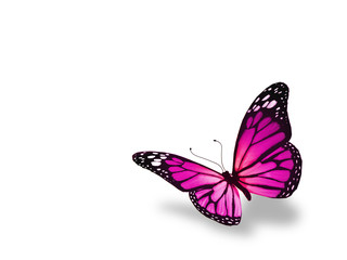 Fototapeta na wymiar Pink butterfly, isolated on white background