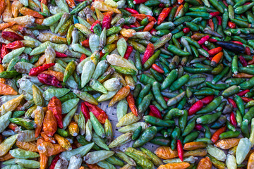 Dried hot pepper